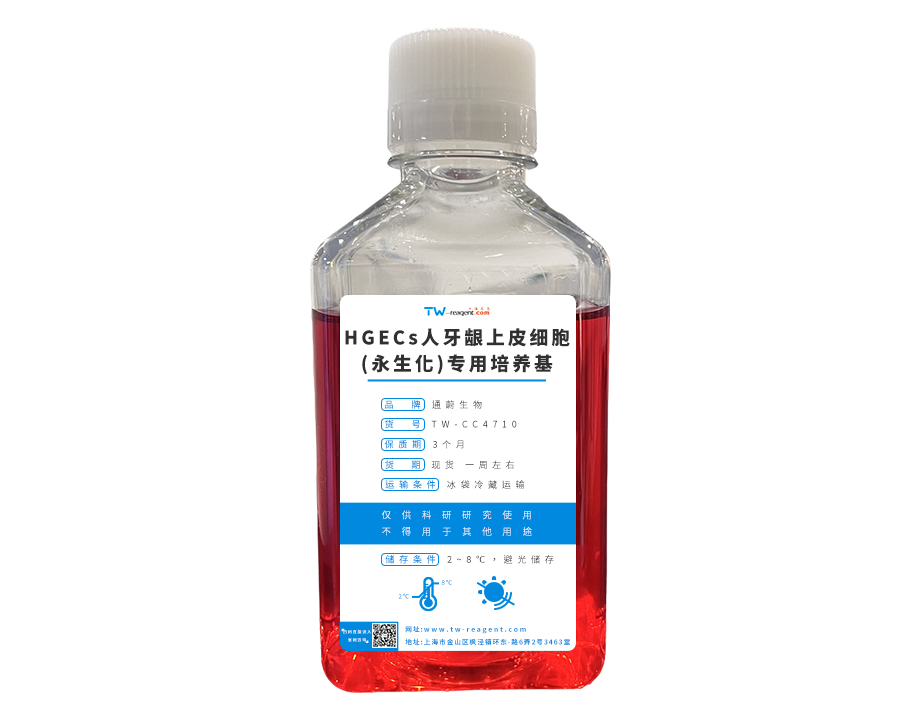 永生化細胞專用培養(yǎng)基