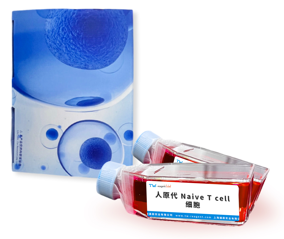 人原代細(xì)胞