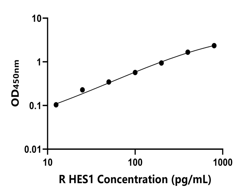大鼠 Elisa試劑盒