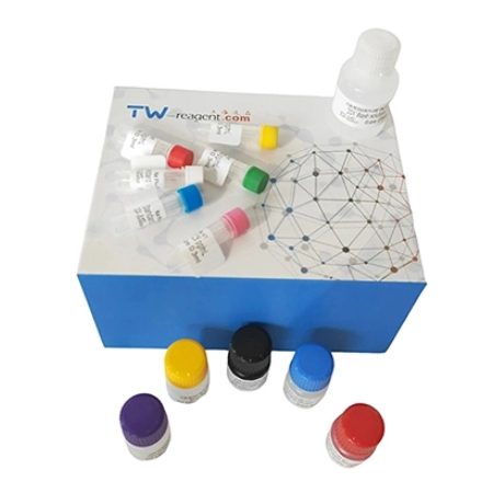 兔血管內(nèi)皮生長(zhǎng)因子B(VEGF-B)試劑盒