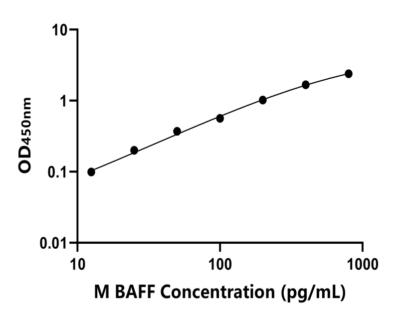 小鼠(BAFF)ELISA試劑盒