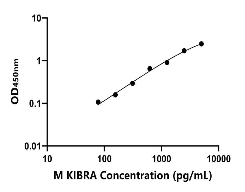 小鼠(KIBRA)ELISA試劑盒