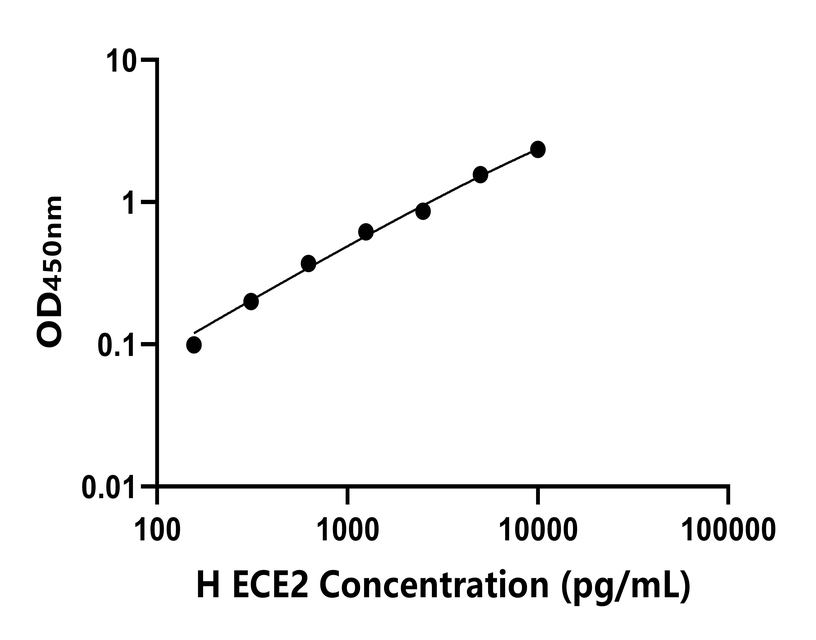人(ECE2)ELISA試劑盒