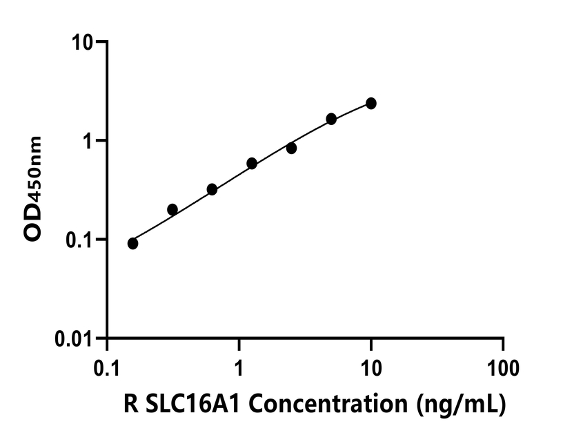 大鼠(SLC16A1)ELISA試劑盒