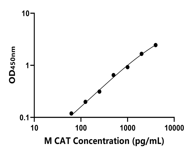 小鼠(CAT)ELISA試劑盒